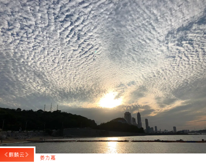众赢国际版(中国区) - 官方网站